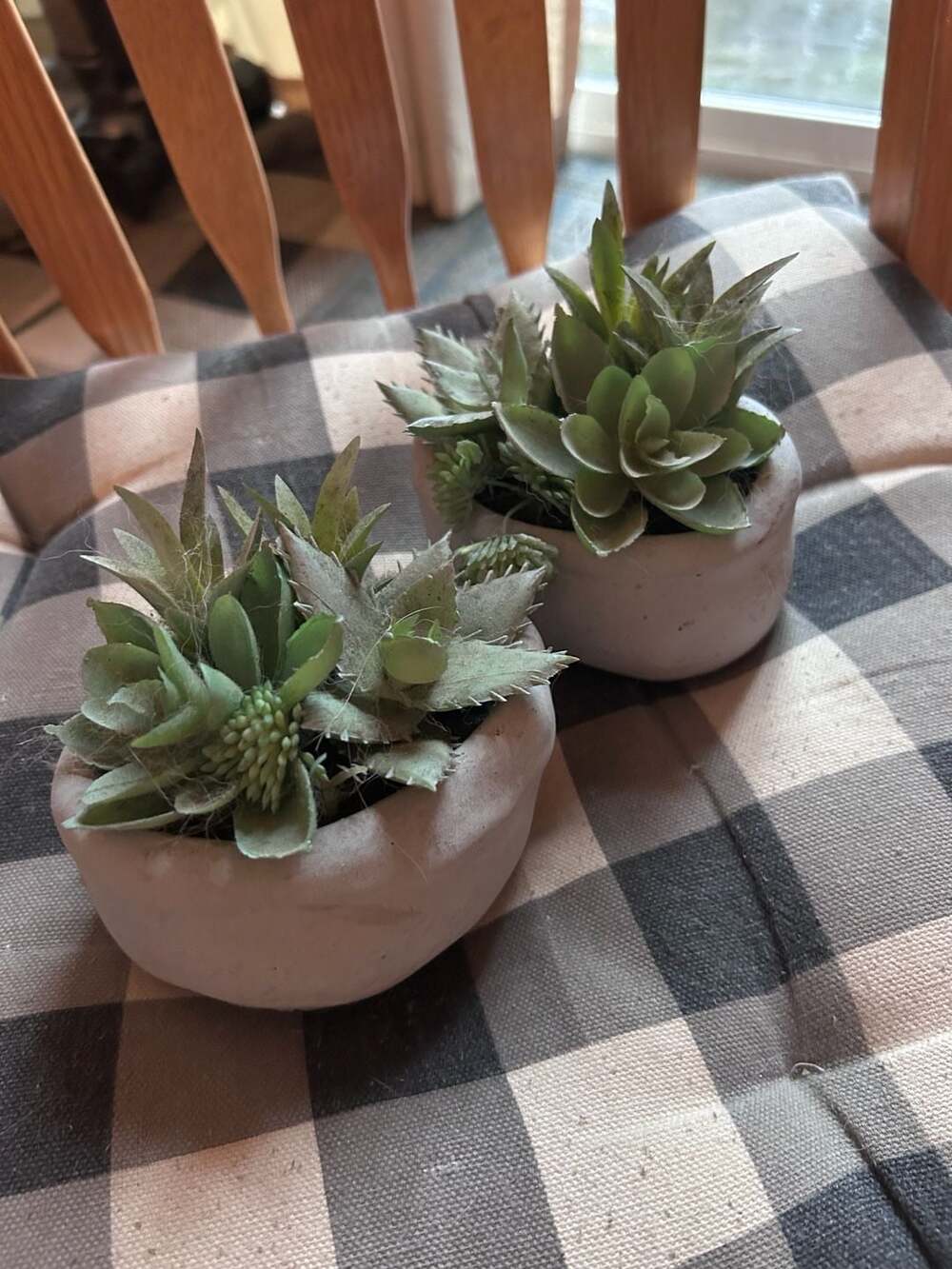 Set of 2 Artificial Faux Succulent Plants in Grey Cement Bowls